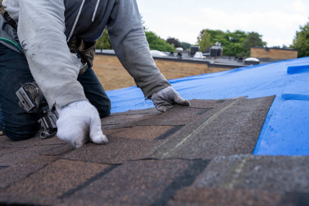 Best Roof Moss and Algae Removal  in Hunters Creek, FL